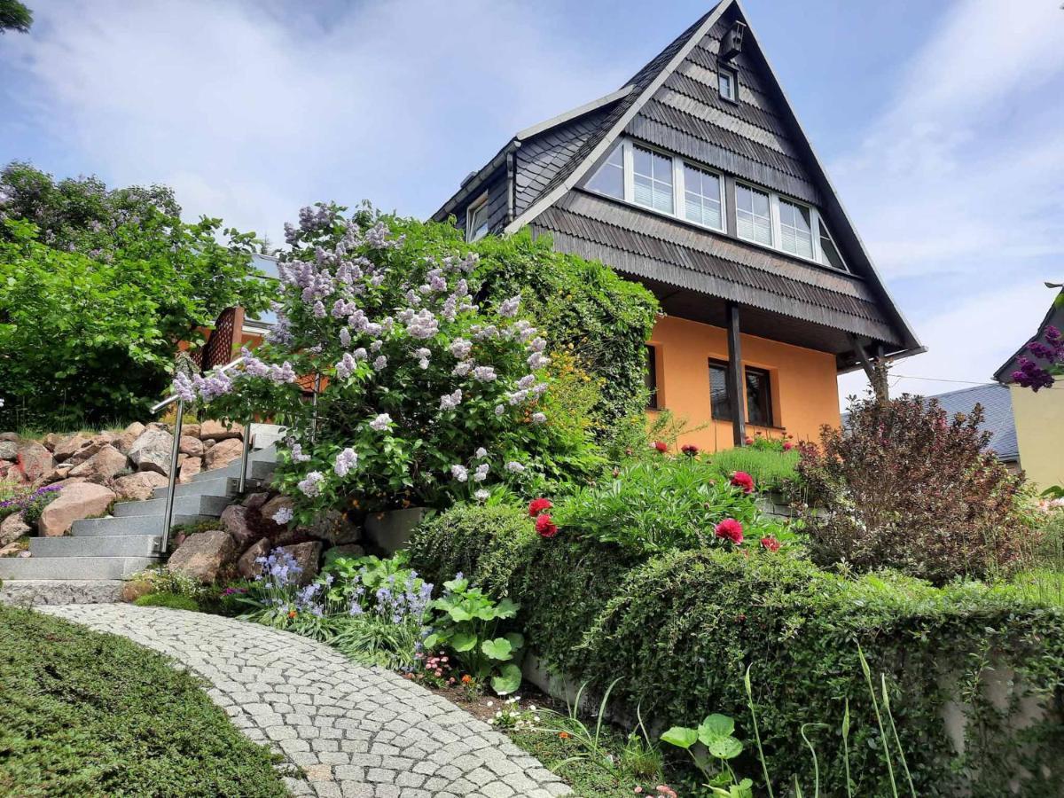 Splitek Apartment Altenberg